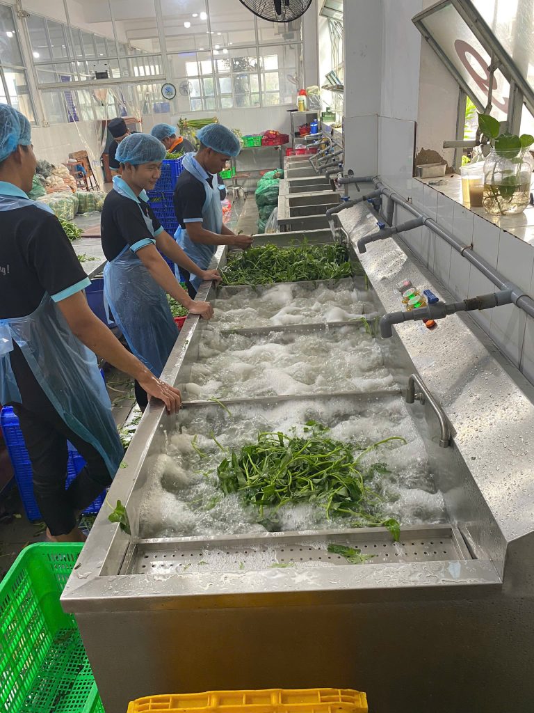 z6070814536248_16f4f49c19450fe8336876a231999cf6